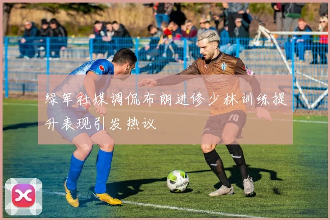 绿军社媒调侃布朗进修少林训练提升表现引发热议