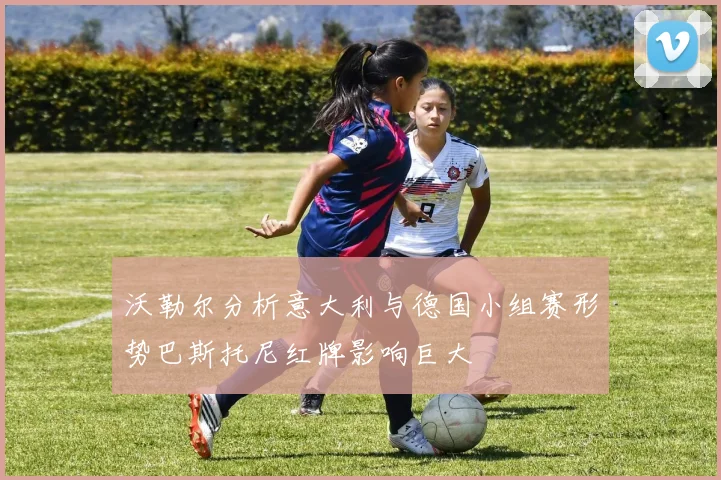 沃勒尔分析意大利与德国小组赛形势巴斯托尼红牌影响巨大